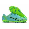 Nike Mercurial Vapor 14 Academy AG